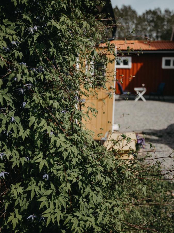 En lantlig idyll med skogen precis utanför dörren! Villa Ullared Eksteriør bilde